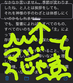 BA9E23A5-39BF-48C5-A2ED-DF88D555F509.jpeg