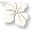 hibiscus_15.gif